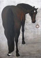 Portrait du cheval Koubba