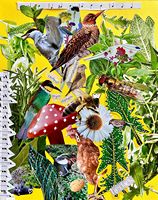 papillons et oiseau 