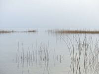 lac de morat hiver 1
