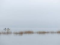 lac de morat hiver 2