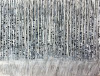 Forêt de bouleaux